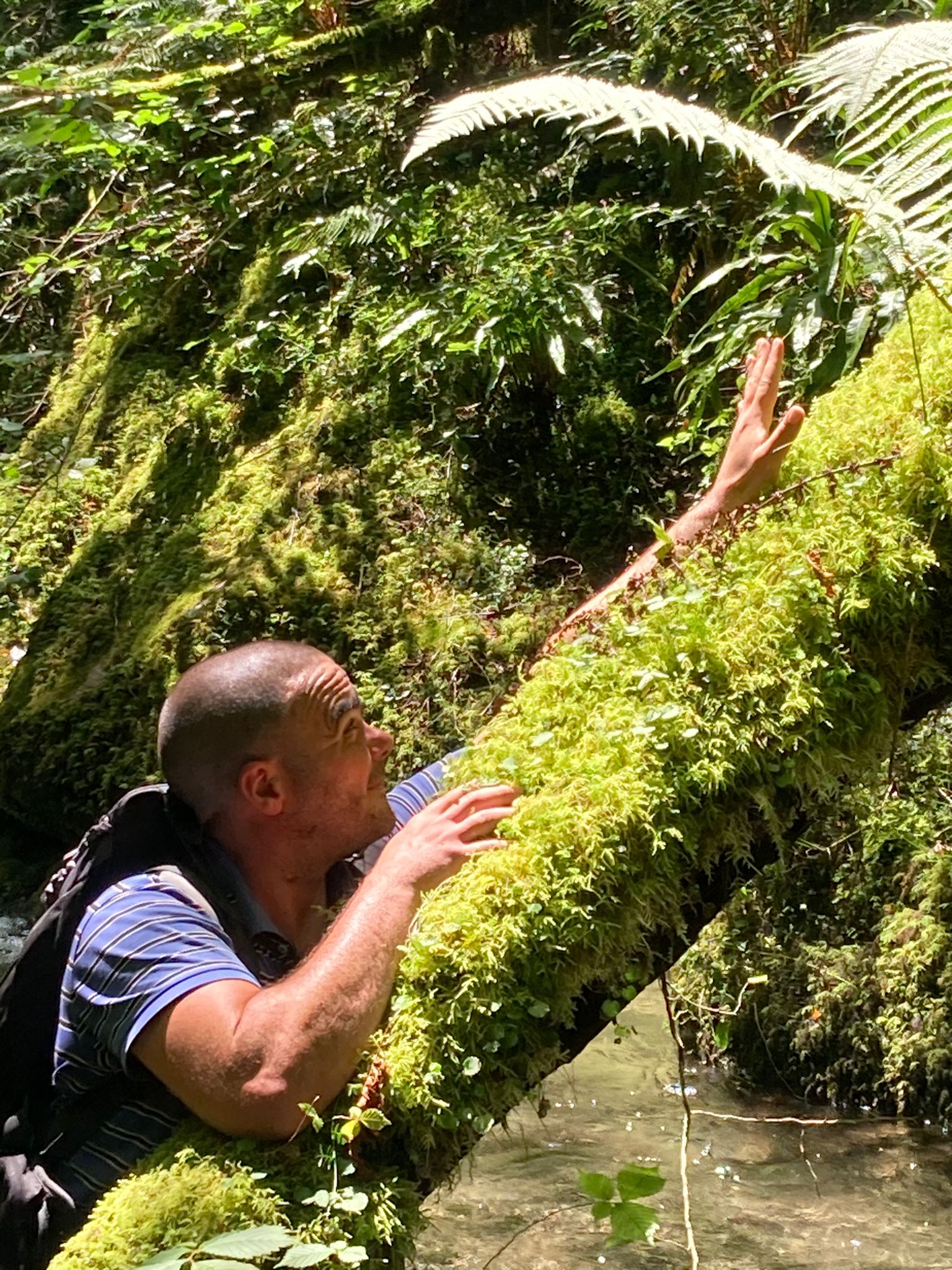 Profilo di Augustave