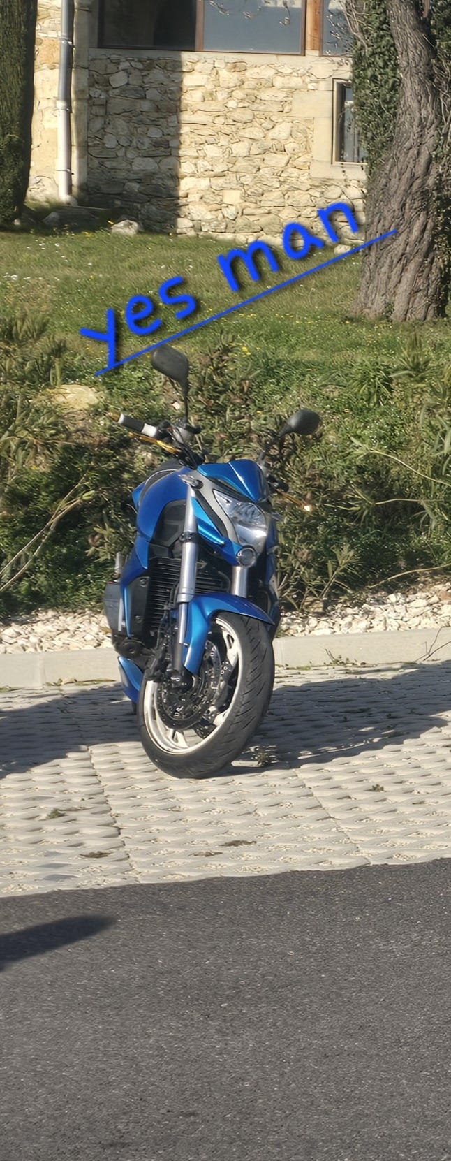 Profilo di Théobald